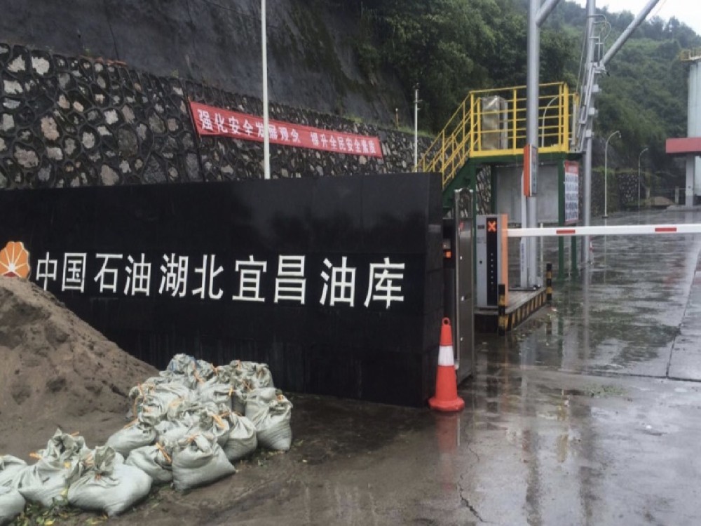 六合资免费料大玄武